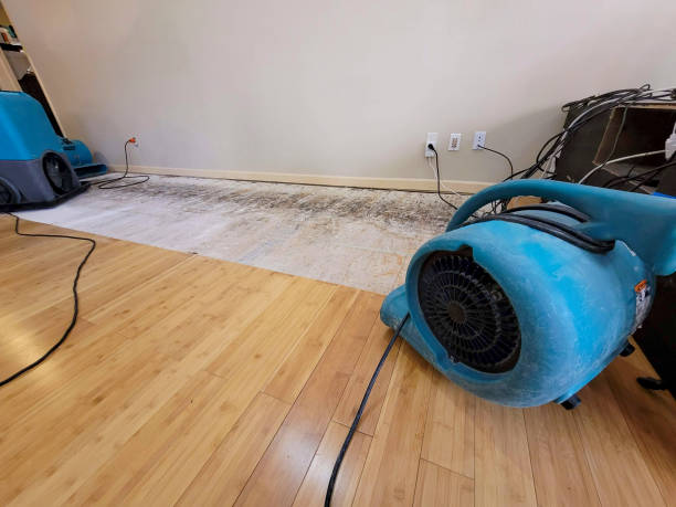 Professional Basement Flood Cleanup technician working in West Ossipee, NH